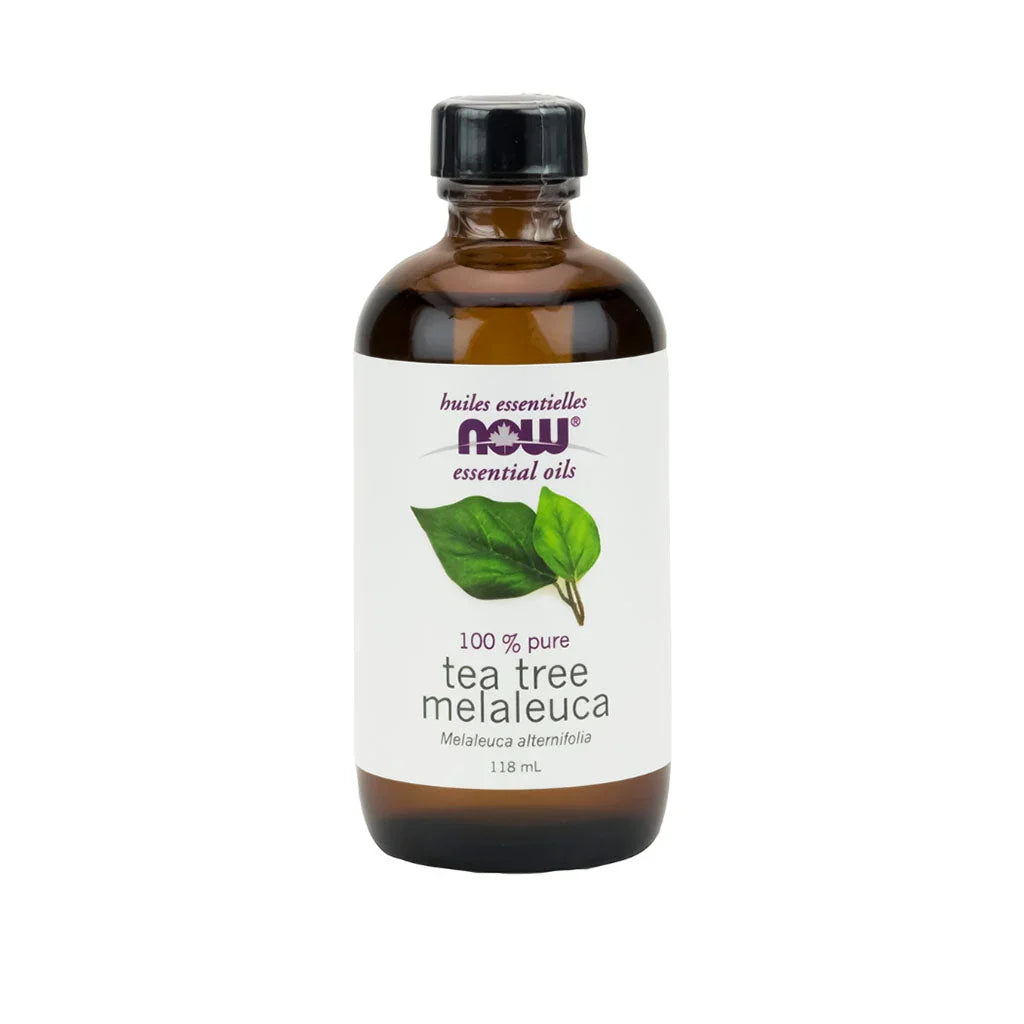 huile essentielle de tea tree melaleuca Now - La Boite à Grains