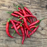 Piment Cayenne Ring of Fire Biologique Les Jardins de l'Écoumène - La Boite à Grains