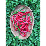Piment Long Red Cayenne Biologique (Semences) Semences Nordiques - La Boite à Grains