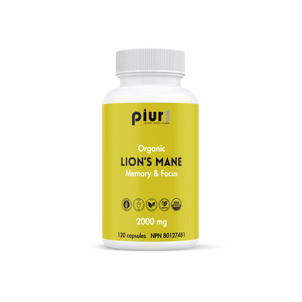 piur 1 lion's mane crinière de lion biologique - La Boite à Grains