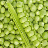 Organic Small Provençal Peas Les Jardins de l’Écoumène - La Boite à Grains
