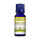 Romarin Cinéolé Bio Divine Essence - La Boite à Grains