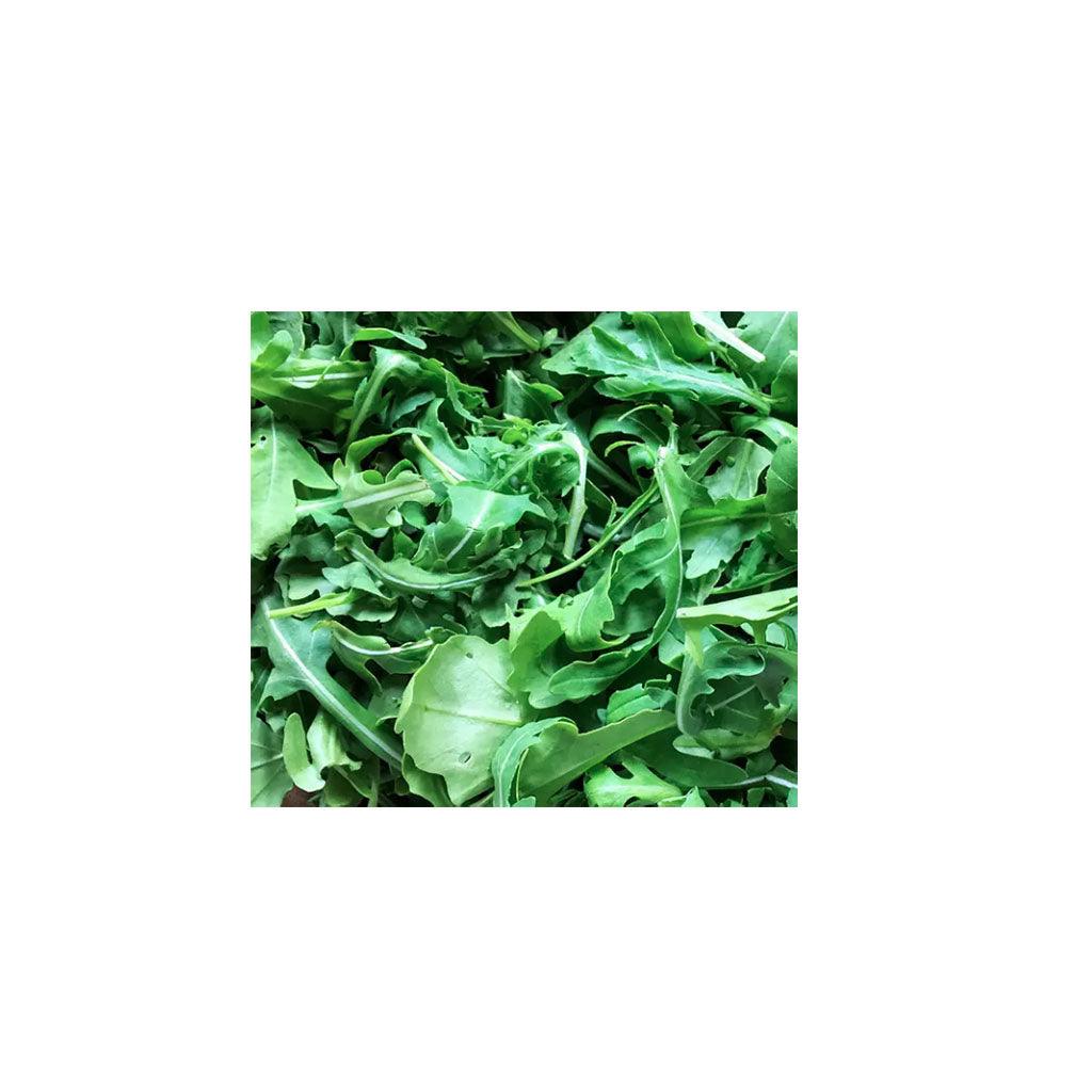 Roquette Astro Biologique (Semences) Semences Nordiques - La Boite à Grains