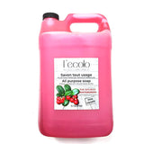 Savon Tout Usage L'Écolo Thé des Bois Laboratoire deMonceaux - La Boite à Grains