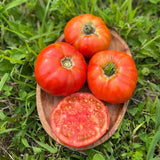 tomate Brandywine Semences Nordiques - La Boite à Grains