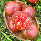 tomate Pink Berkeley Semences Nordiques - La Boite Grains