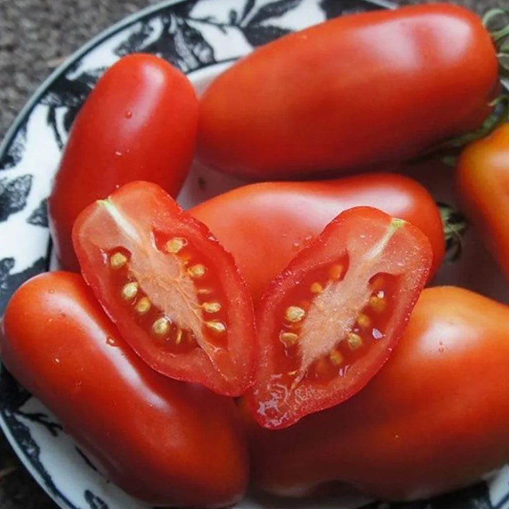 Tomate Dix Doigts de Naples Biologique Les Jardins de l'Écoumène - La Boite à Grains
