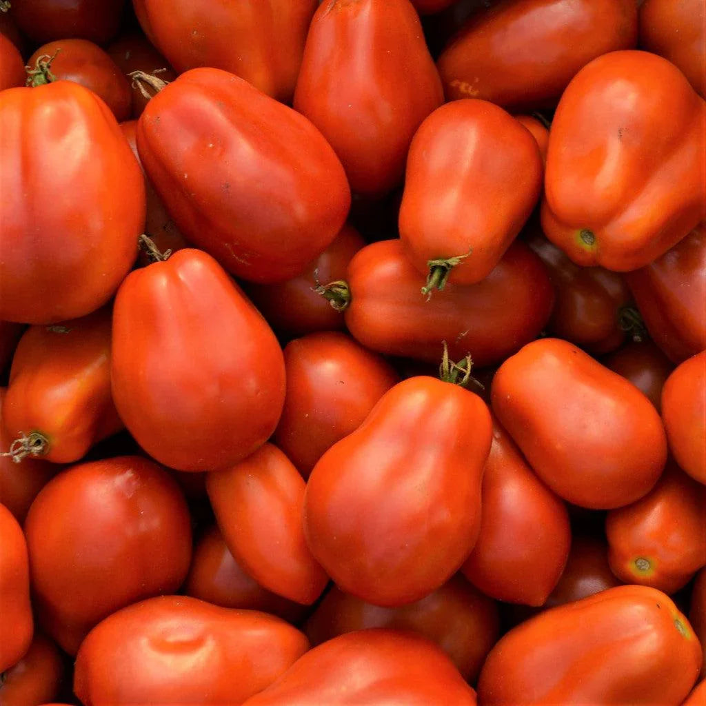 Organic Roma Tomato Les Jardins de l'Écoumène - La Boite à Grains
