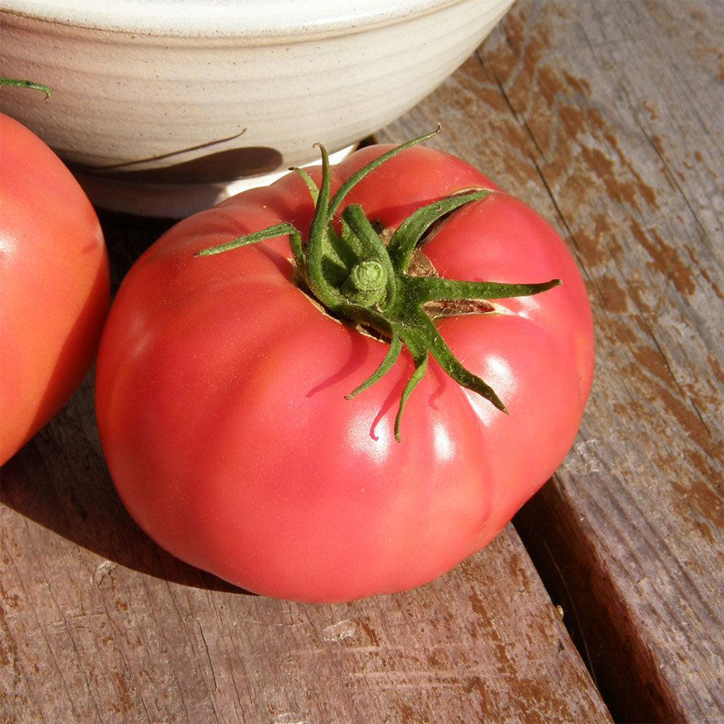 Tomate Savignac Biologique Les Jardins de l'Écoumène - La Boite à Grains