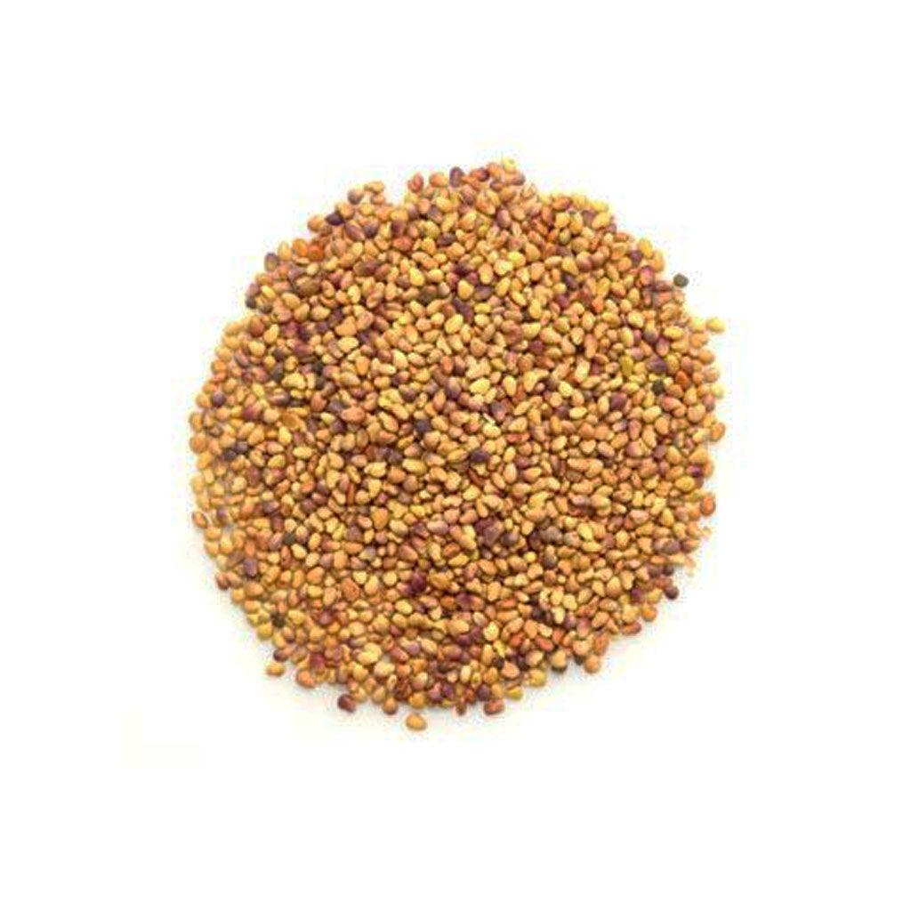 Trèfle Rouge à Germer Biologique (Vrac) La Boite à Grains Vrac - La Boite à Grains