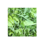 Verdures Brassica Mix Biologique (Semences) Semences Nordiques - La Boite à Grains