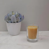 Honey Candles Beeswax Votives - La Boite à Grains