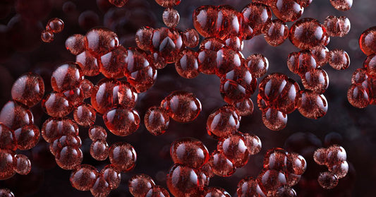 astaxanthine Now - La Boite à Grains