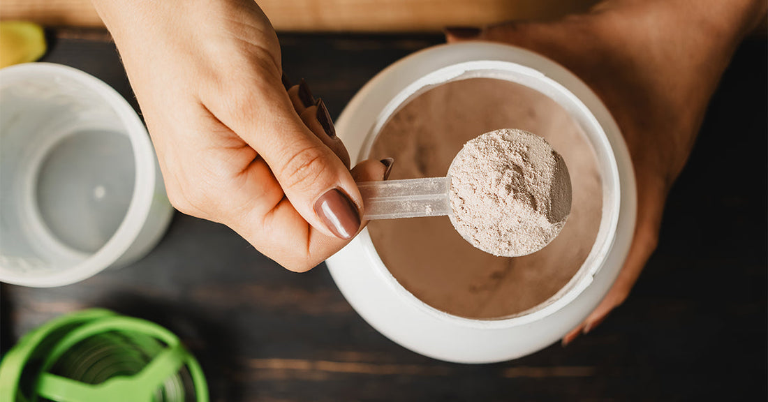 Les 10 Meilleures Protéines Végétales en Poudre [2026]