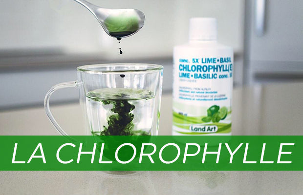 chlorophylle liquide: chlorophylle, bienfaits et mythes prouvés - La Boite à Grains