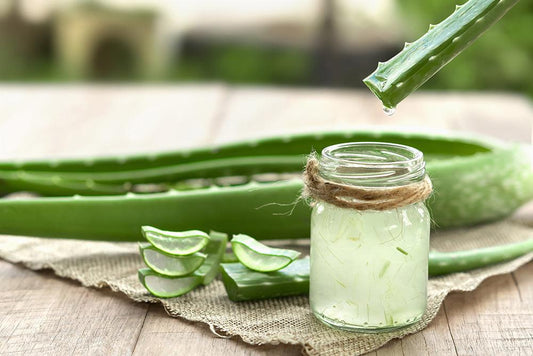 Feuille d'Aloe Vera - La Boite à Grains