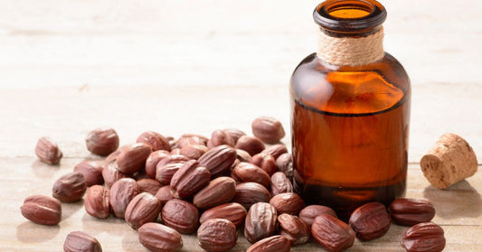 huile de jojoba - La Boite à Grains