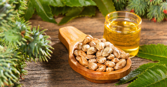 tout savoir sur les bienfaits de l'huile de ricin - La Boite à Grains