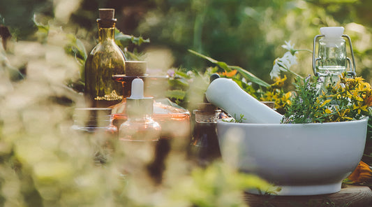 L’Elixir suédois : bienfaits et utilisations - La Boite à Grains