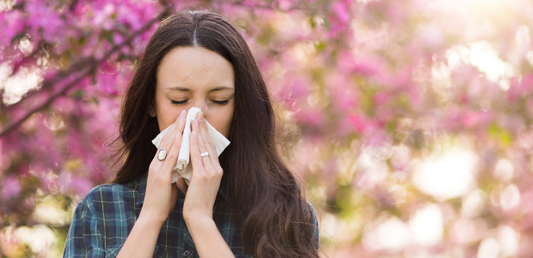 La Boite Santé : Les Allergies Saisonnières - La Boite à Grains