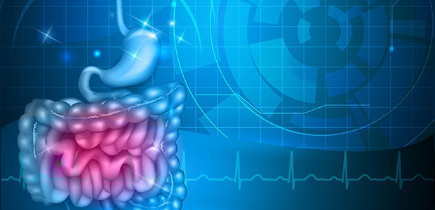 La dysbiose intestinale : un enjeu de santé bien réel - La Boite à Grains