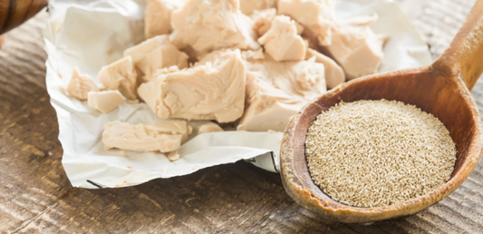 Le Garde-Manger Santé : La Levure - La Boite à Grains