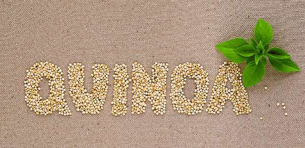 Le quinoa : c’est quoi et comment le cuisiner ? - La Boite à Grains