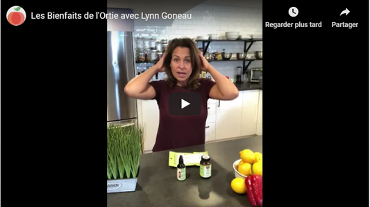 Les Bienfaits de l'Ortie avec Lynn Goneau - La Boite à Grains