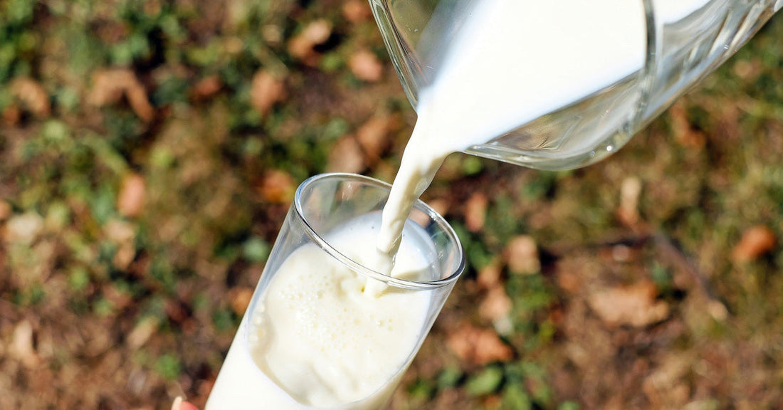 Les Raisons de Prendre un Supplément de Calcium - La Boite à Grains