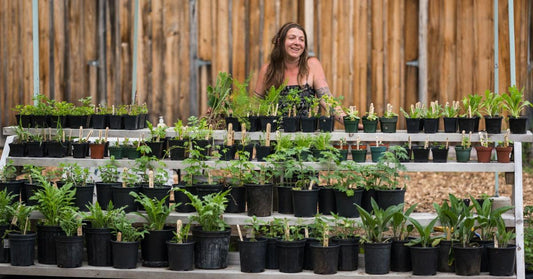 Mariane Desjardins Roy : "La Fée des Bois est un véritable petit paradis" - La Boite à Grains