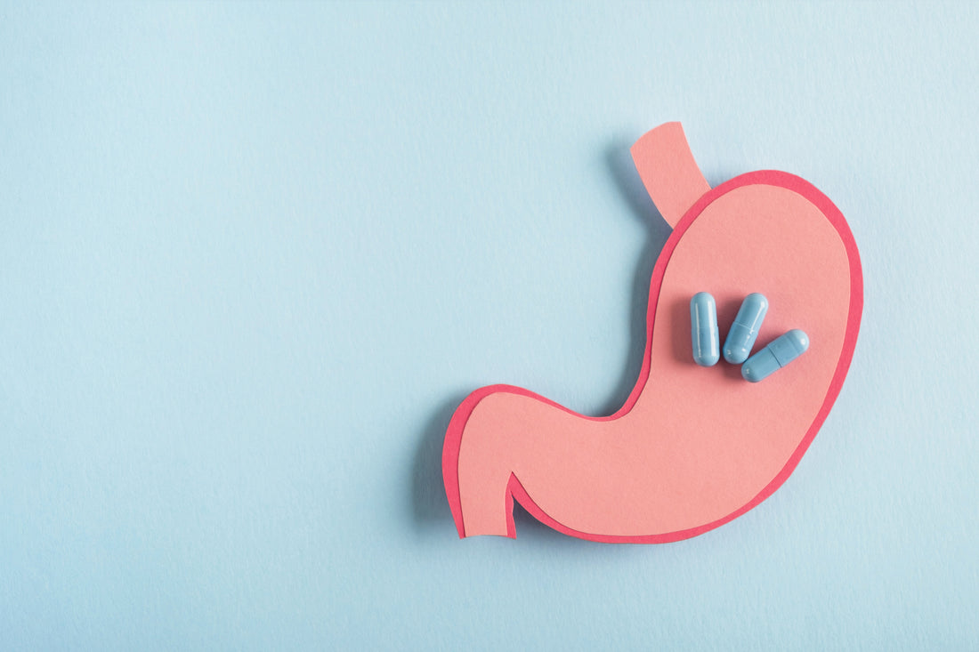 Supplément d’enzymes digestives : à quoi ça sert ?