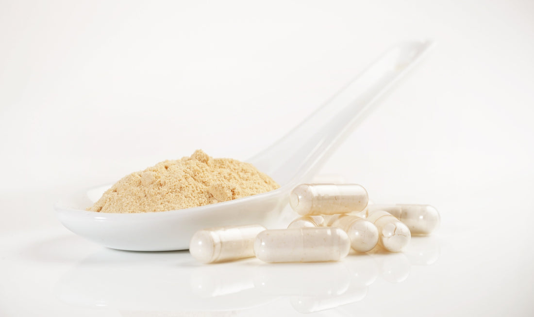 Supplément de phosphatidylsérine : ce qu'il faut savoir sur le stress et la cognition