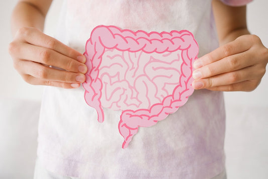 Preteen girl hands holding intestine shape, healthy bowel digestion, leaky gut, probiotic and prebiotic for gut health, preteen and teen gut health concept