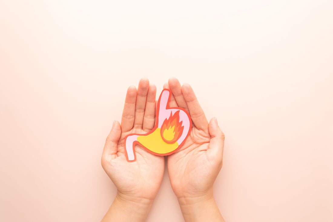 Troubles digestifs : les meilleures solutions naturelles pour retrouver une digestion sereine