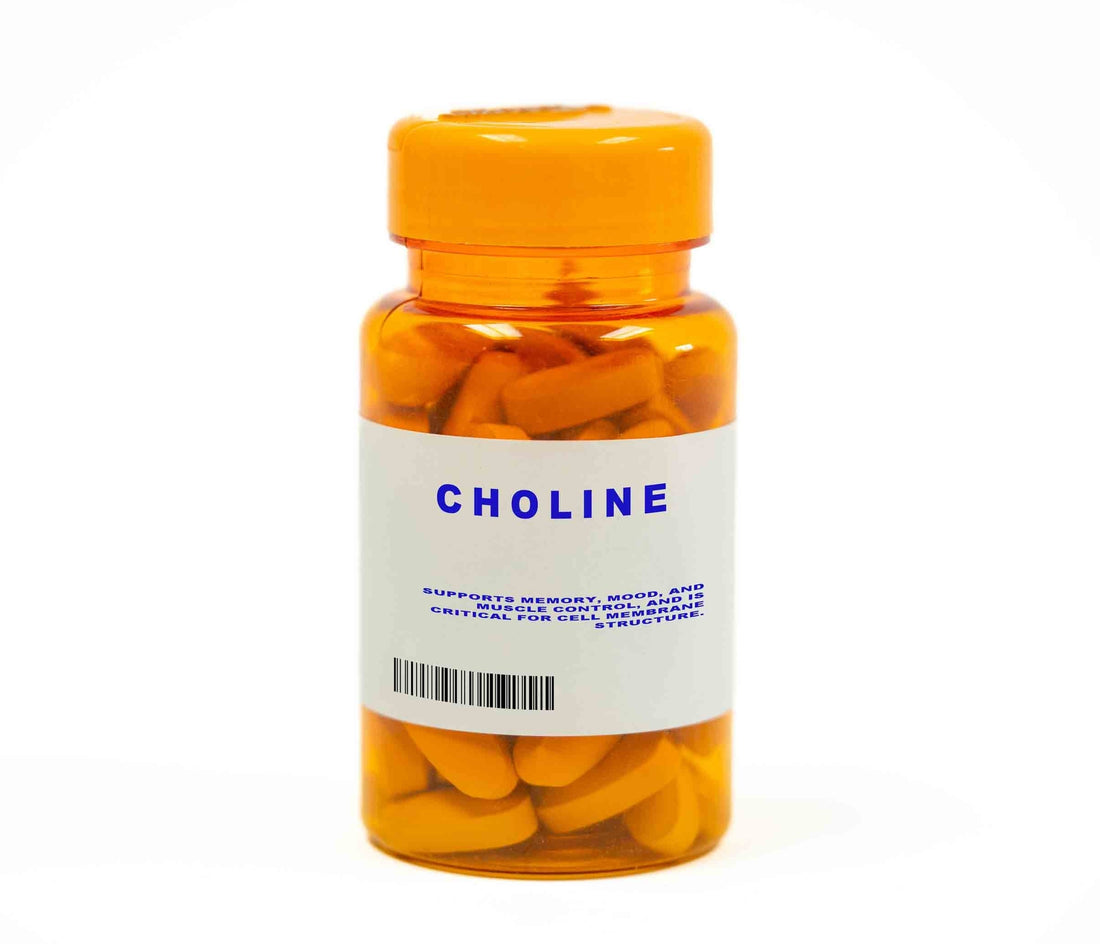 Choline : un rôle clé pour le cerveau et le foie