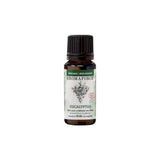 Huile Essentielle d'Eucalyptus Biologique Aromaforce - La Boite à Grains