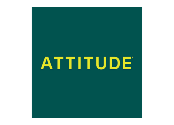 Attitude