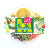 Dragon bowl