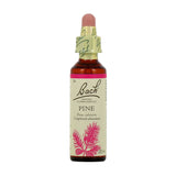 Pin Bach - La Boite à Grains