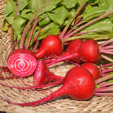 Betterave Chioggia Biologique Les Jardins de l'Écoumène - La Boite à Grains