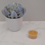 Bougie Chauffe-Plat Cire d'Abeille Honey Candles - La Boite à Grains