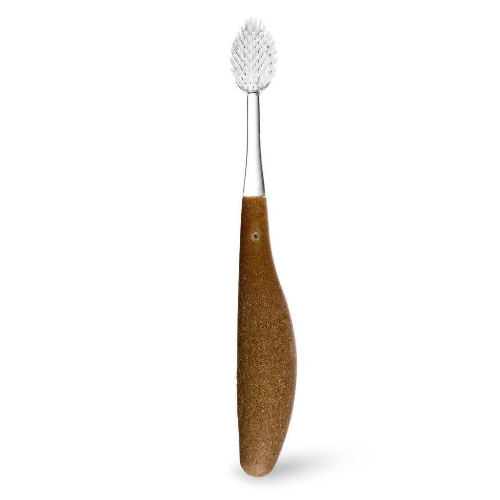 Brosse à Dents Moyenne Source Radius - La Boite à Grains