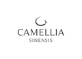 Camellia Sinensis