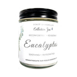 Soy Candle Eucalyptus Zen Senzy Collection - La Boite à Grains