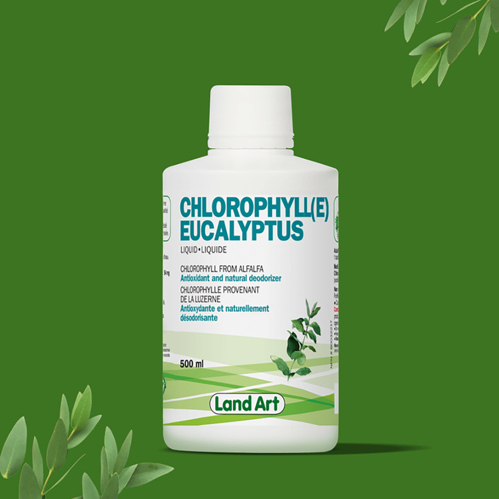 Chlorophylle Liquide Eucalyptus Land Art - La Boite à Grains