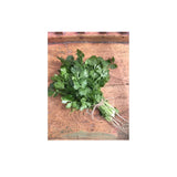 Organic Santo Coriander (Seeds) Nordic Seeds - La Boite à Grains