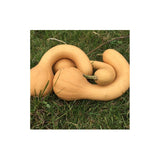 Courge Canada Crookneck Biologique (Semences) Semences Nordiques - La Boite à Grains