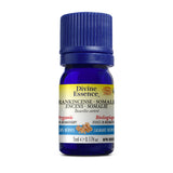 divine essence huile essentielle encens somalie biologique 5 ml