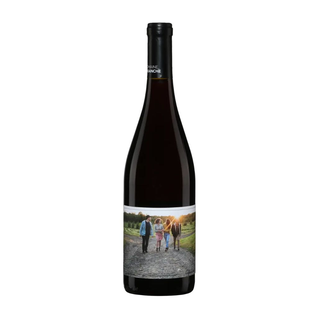organic Gamay red wine Domaine Labranche - La Boite à Grains