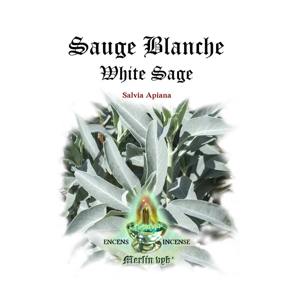 Encens Sauge Blanche (Feuilles) Produits Merlin - La Boite à Grains